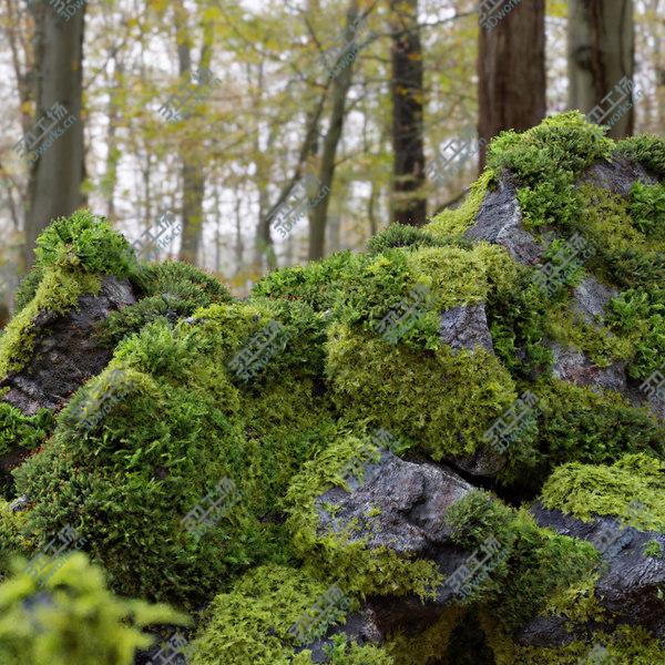 images/goods_img/20210312/3D model Moss 7 Species and Stones - PBR Asset Kit/1.jpg